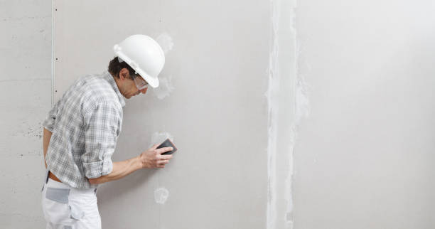 Best Commercial Painting  in Seeley, CA